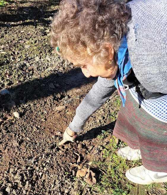 Modena, strage di animali alla sede Enpa: si sospetta un attacco dei lupi<br>
