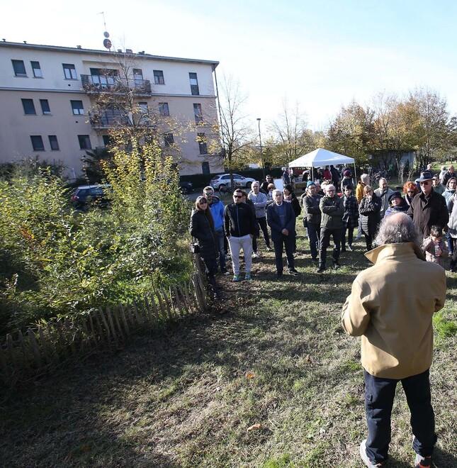 Reggio Emilia, distribuite 4mila piante in piazza nella Giornata nazionale dell’albero