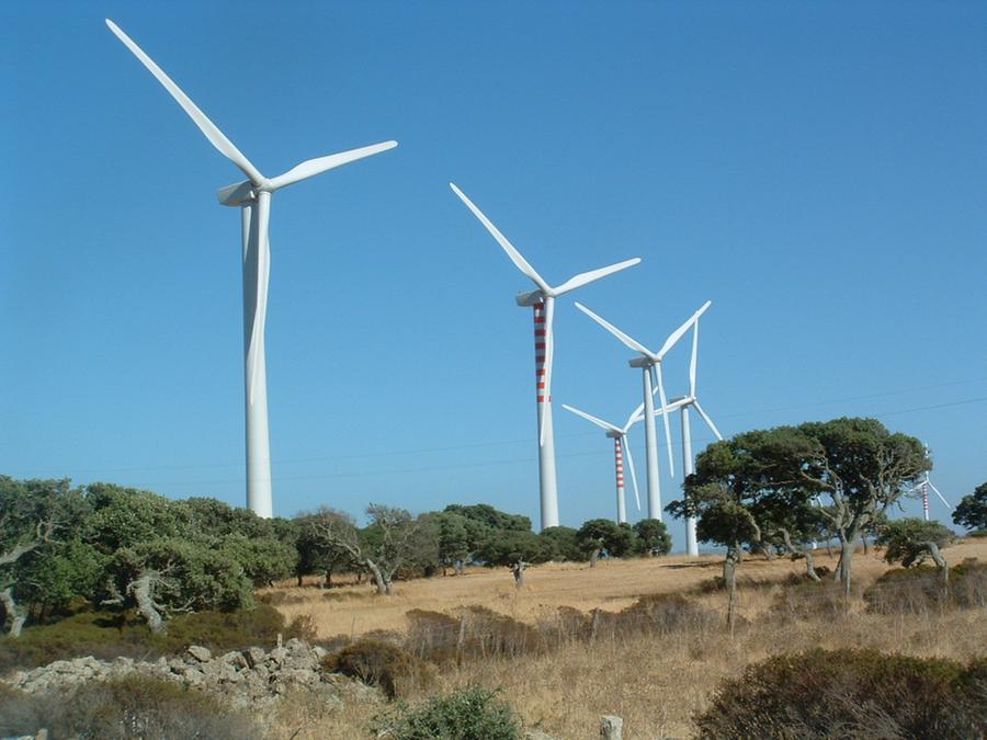 Elezioni regionali: ecco i 10 temi cruciali per il futuro della Sardegna