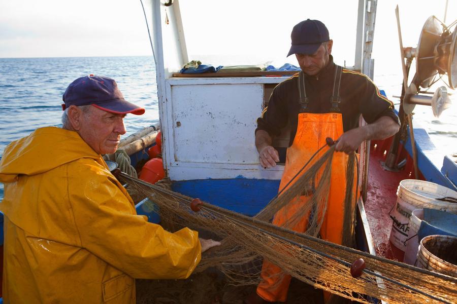 
	Pescatori al lavoro nel Golfo dell'Asinara

