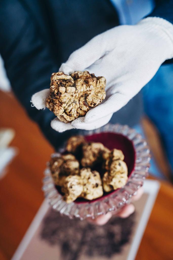 Ferrara, ecco i ristoranti dove mangiare il tartufo
