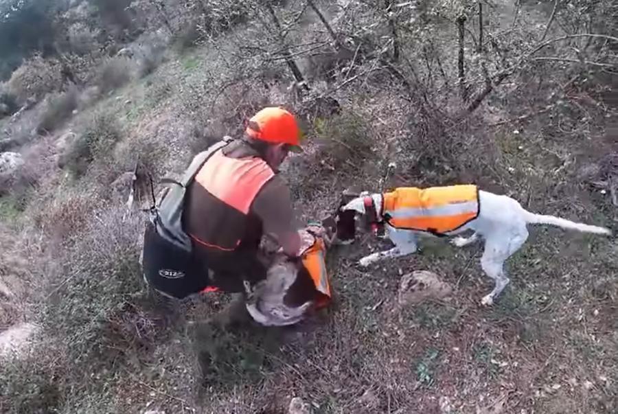 
	Un fermoimmagine del video

