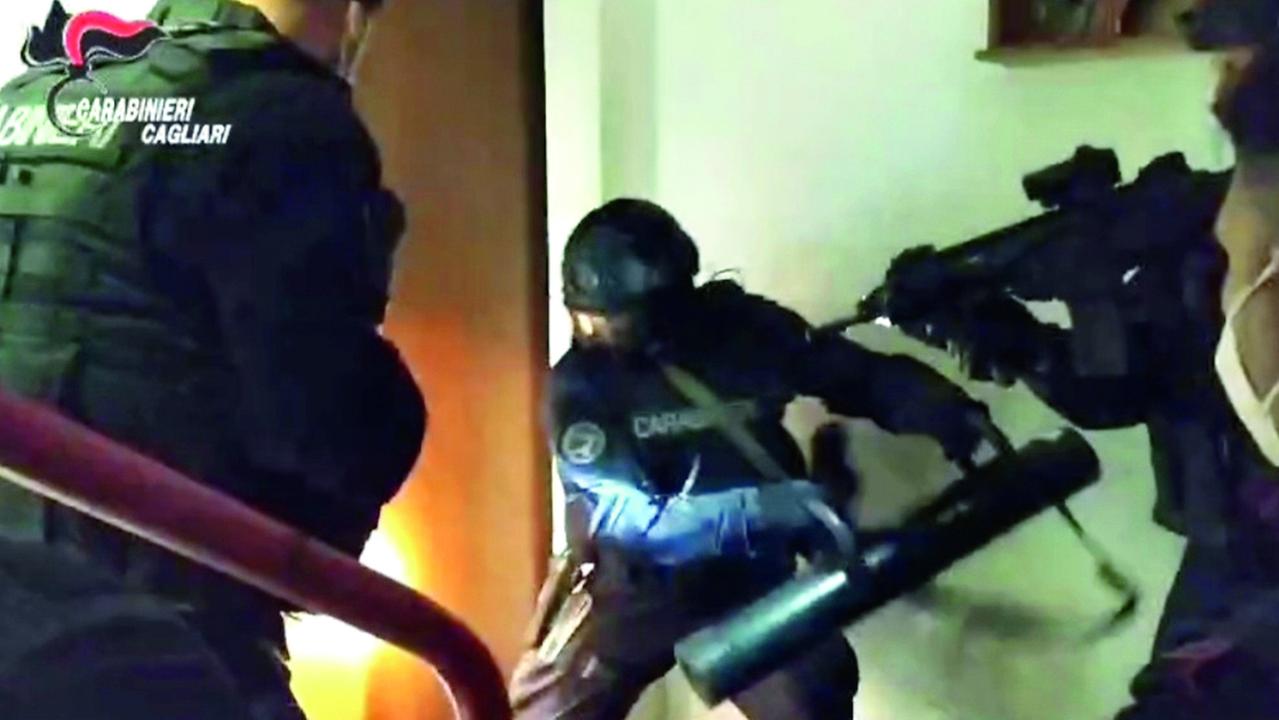 Droga e 28 tartarughe in vendita nel mercato della banda dello spinello