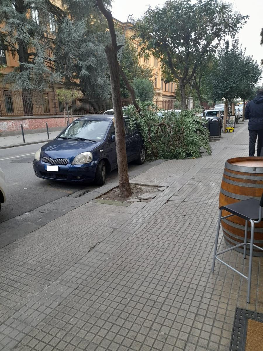 Pisa, albero crolla all’improvviso su un’auto parcheggiata in centro