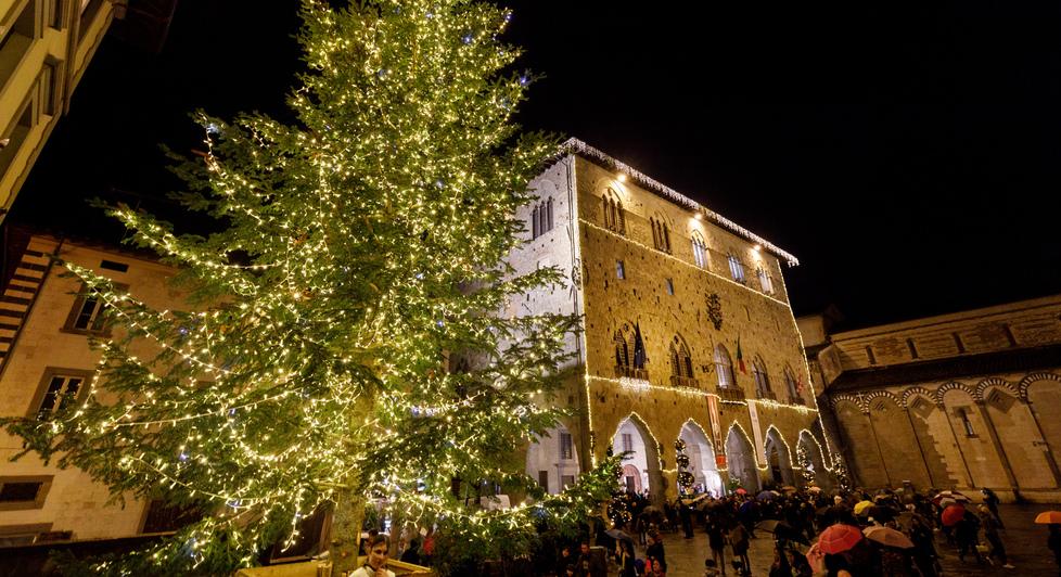 Il tradizionale albero di Natale in piazza Duomo (foto Nucci)