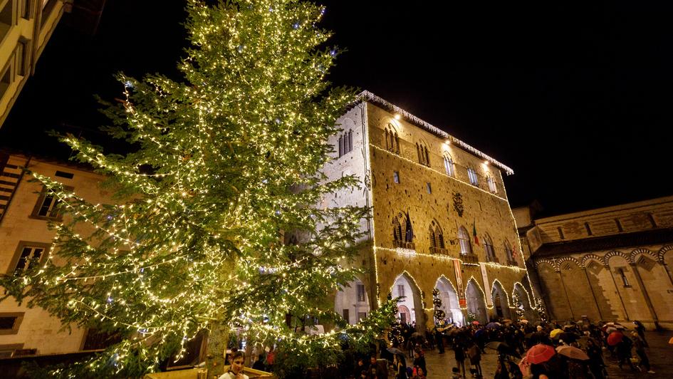 Il tradizionale albero di Natale in piazza Duomo (foto Nucci)