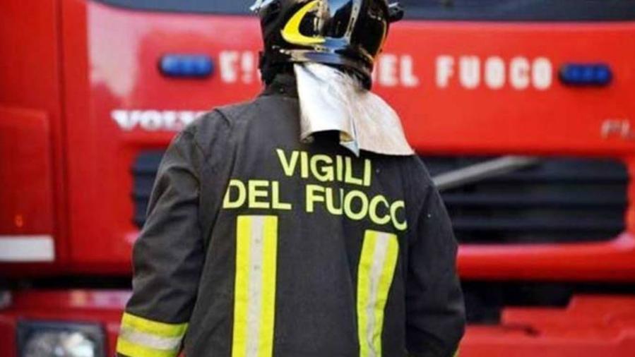 Cade un albero, colpito alla testa un 29enne a Crespina