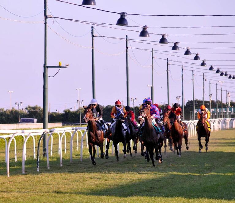 Livorno, al Caprilli tornano le corse invernali tutti i sabati fino a fine anno