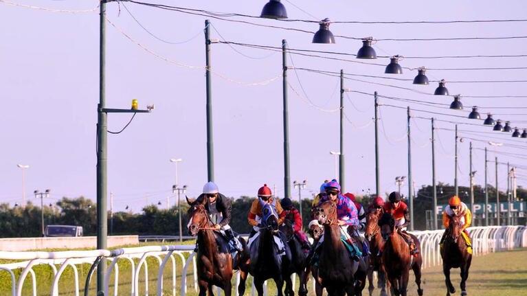 Livorno, al Caprilli tornano le corse invernali tutti i sabati fino a fine anno