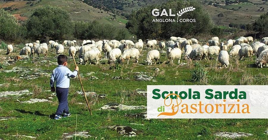 Scuola sarda di pastorizia, il bilancio del primo anno