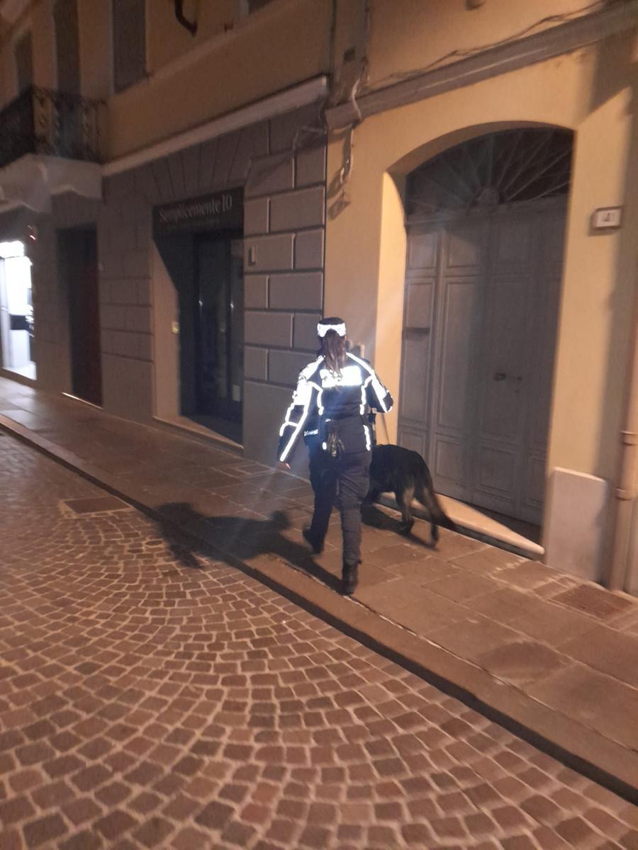 Guastalla, il cane antidroga Victor alla Fiera di Santa Caterina