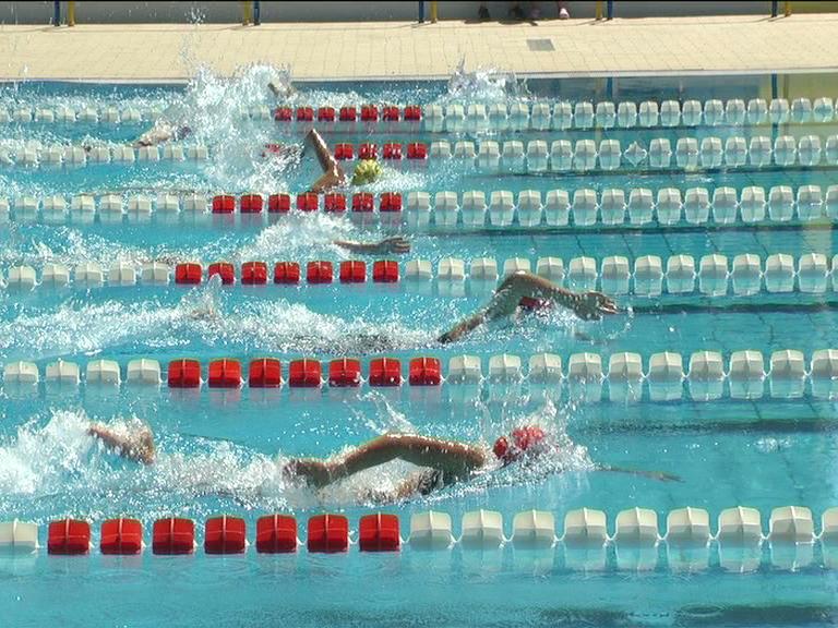 
	Una gara di nuoto giovanile

