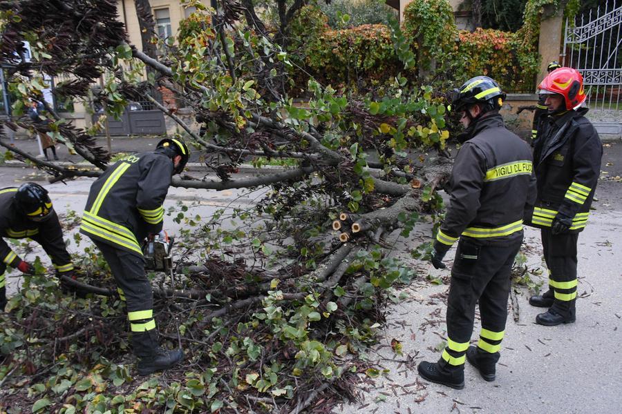Maltempo in Toscana, allerta gialla per vento forte: le zone più a rischio