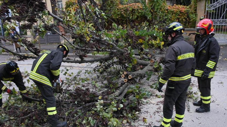 Maltempo in Toscana, allerta gialla per vento forte: le zone più a rischio