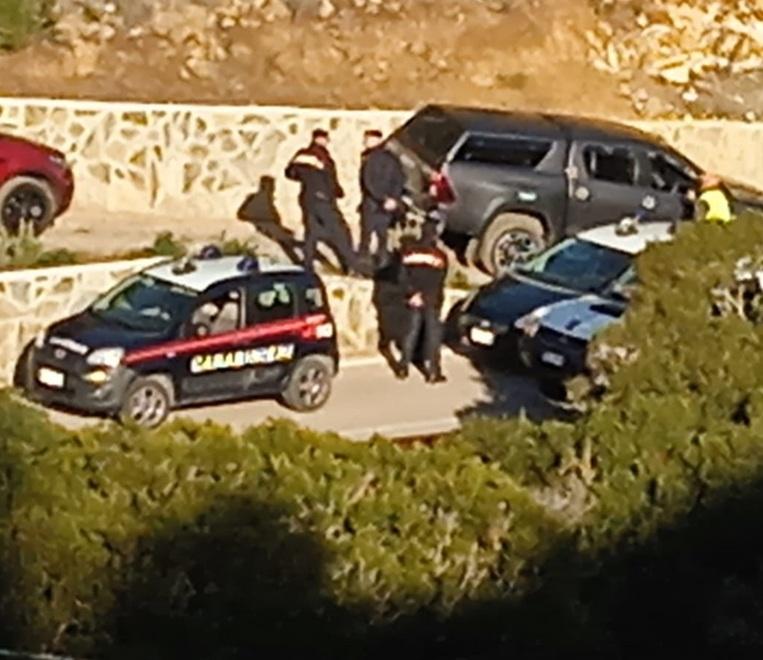 L’ira degli ambientalisti al Giglio: «Fermate lo sterminio dei mufloni»