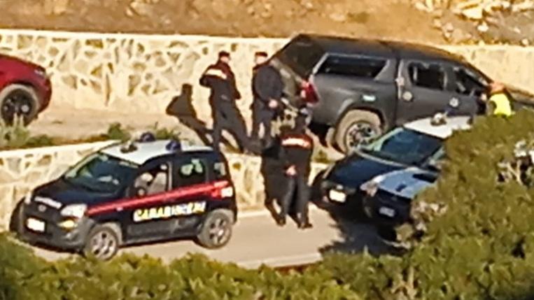 L’ira degli ambientalisti al Giglio: «Fermate lo sterminio dei mufloni»