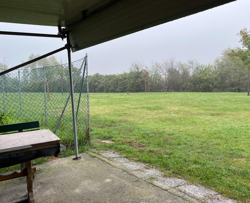 Ferrara, infortunio nell’area sgambamento cani. Ferrarsi: «Mancano regole, chi paga?»