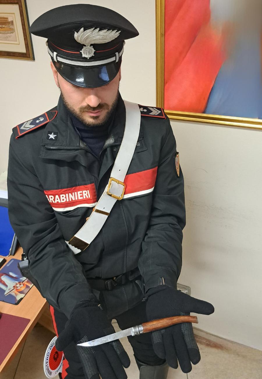 Reggio, entra in tribunale con un coltello: fermato e denunciato dai carabinieri