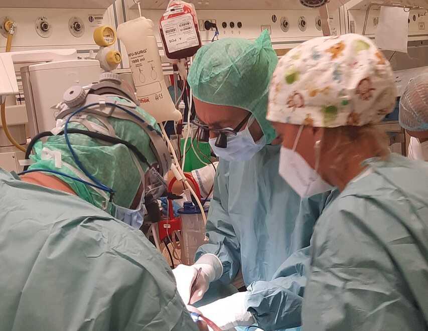 Alghero, gli anestesisti dicono no: salta l’intervento alle tonsille per un bimbo di 5 anni