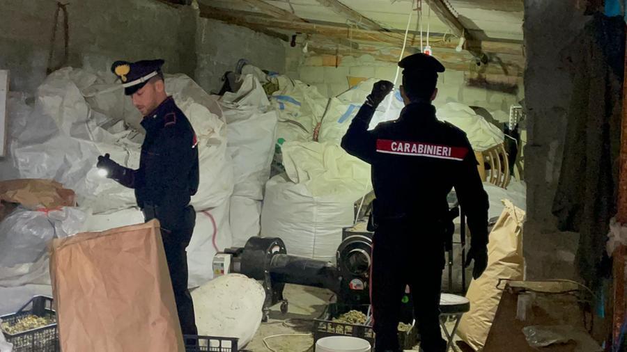 Due tonnellate di droga sequestrate, gli arrestati sono di Desulo, Seulo e Villacidro