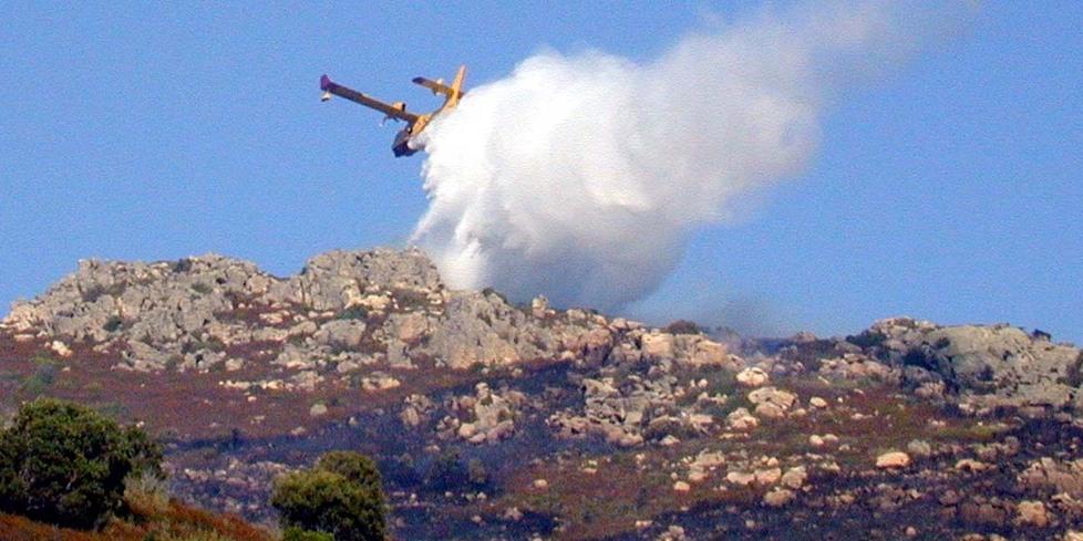 Il devastante incendio nella campagna di Berchidda: un funzionario Enel a processo 