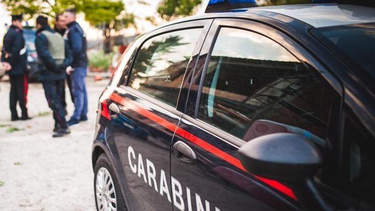 Furti a Mirandola, Novi e San Felice: arrestato un 41enne
