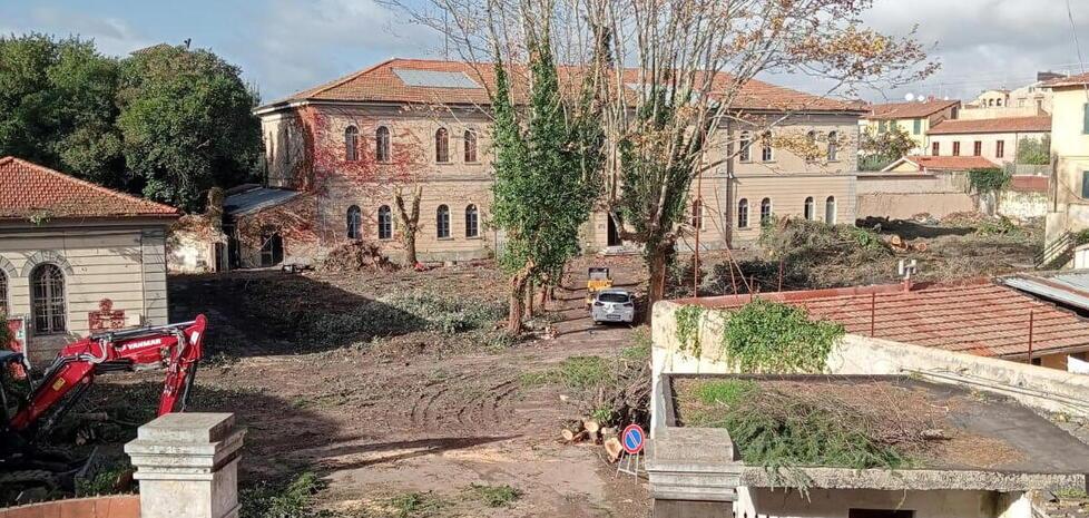 Pisa, la rabbia dei residenti di San Martino: «Il parco è stato distrutto»<br>
