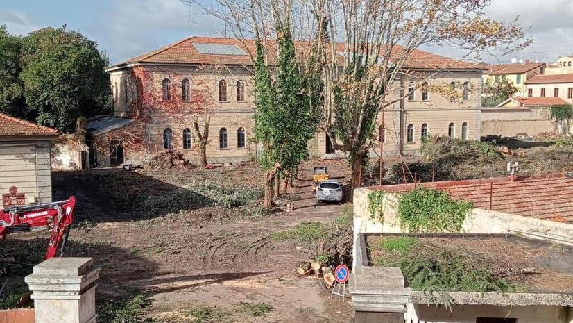 Pisa, la rabbia dei residenti di San Martino: «Il parco è stato distrutto»<br>