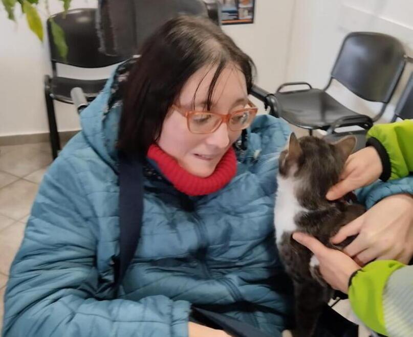 Livorno, ritrova il gatto Winston dopo quattro mesi: «Mai arresa, è la mia famiglia»<br>
