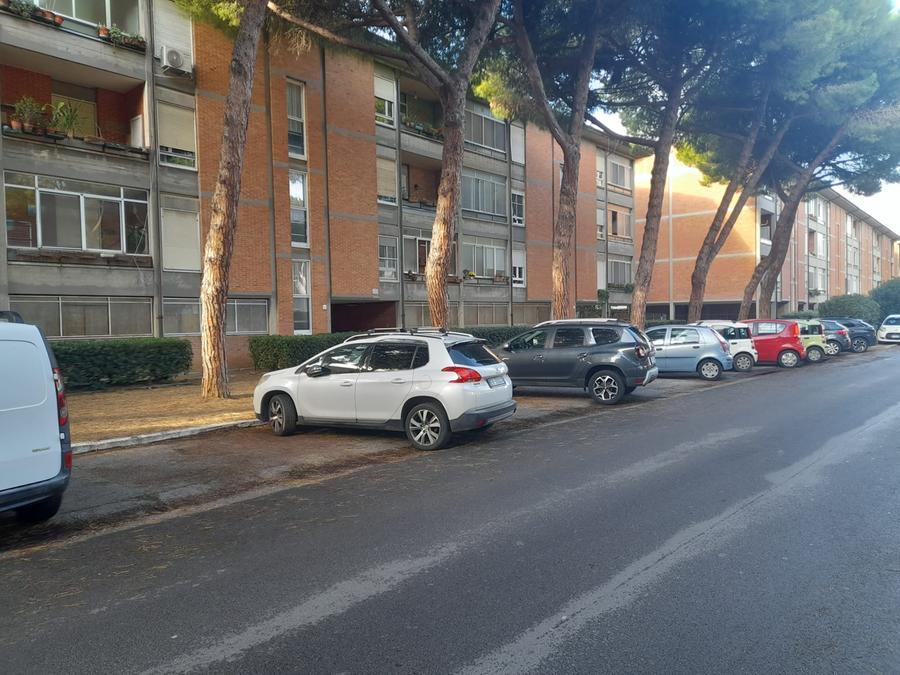 
	Una veduta di via Francesco De Sanctis, alla Rosa, dove &egrave; avvenuta la truffa

