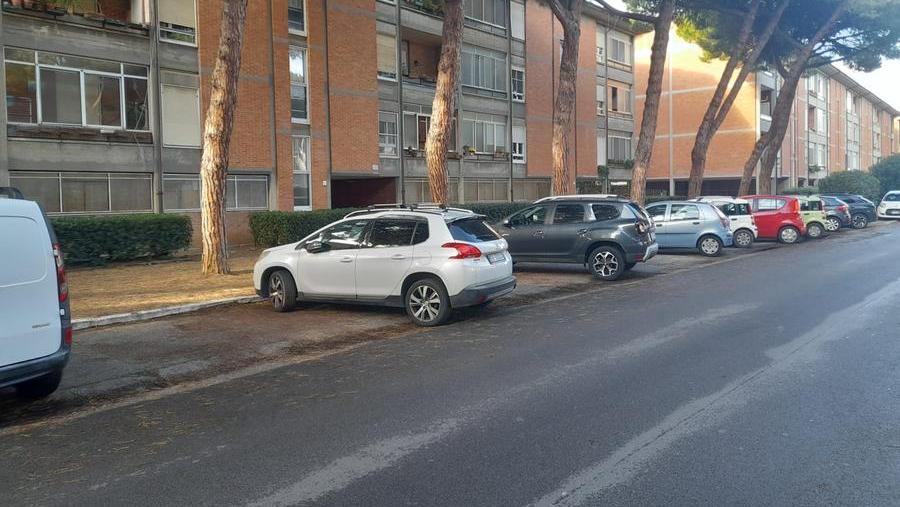 Una veduta di via Francesco De Sanctis, alla Rosa, dove è avvenuta la truffa