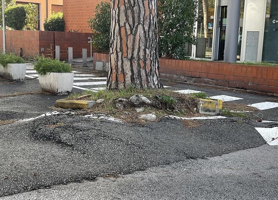 Pisa, dossier in Comune su viabilità e sicurezza sulla zona Pratale-Don Bosco: ecco i problemi<br>
