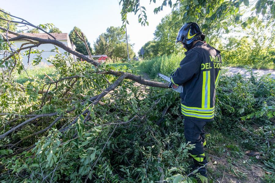 Raffiche di vento, alberi caduti e tetti danneggiati nel Ferrarese