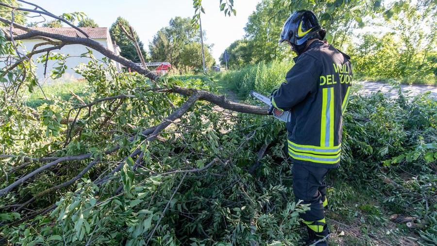 Raffiche di vento, alberi caduti e tetti danneggiati nel Ferrarese