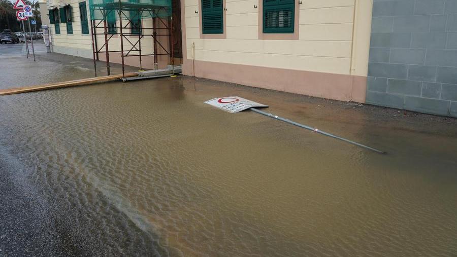 Alcuni danni causati dal maltempo a Livorno (foto Franco Silvi)