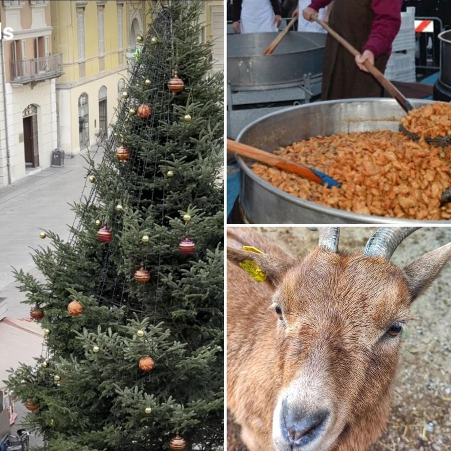 Dieci cose da fare tra Reggio Emilia e provincia