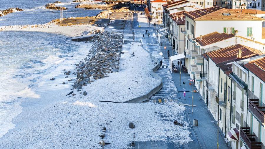 
	Marina dai Pisa: la devastazione dopo la mareggiata (foto Fabio Muzzi)

