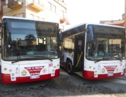 
	Bus del trasporto urbano

