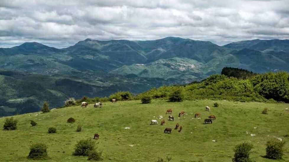 Una veduta della Calvana