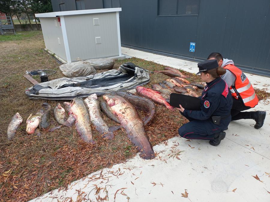 Jolanda di Savoia, pescatori di frodo scoperti e denunciati dai carabinieri
