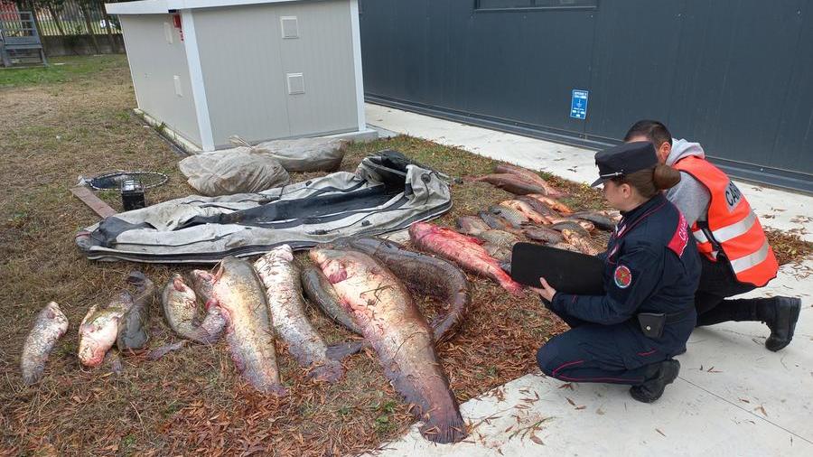 Jolanda di Savoia, pescatori di frodo scoperti e denunciati dai carabinieri