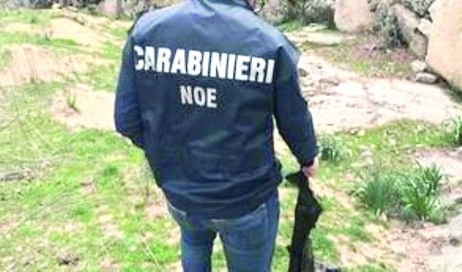 Olbia, piano anti-alluvione fai da te: scava un maxi canale