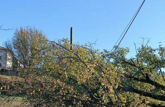 
	L&rsquo;albero caduto sui fili della luce a Gattaiola lo scorso weekend

