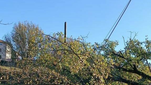 L’albero caduto sui fili della luce a Gattaiola lo scorso weekend