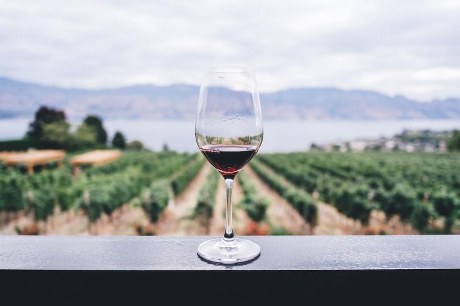 In Toscana cantine aperte a Natale: degustazioni, cene e i consigli sui vini giusti per il menù delle feste
