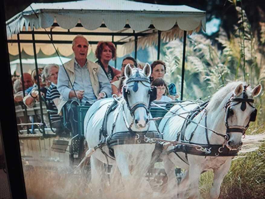 Addio al signore delle carrozze di San Rossore: «Così stava vicino ai suoi amati cavalli»<br>
