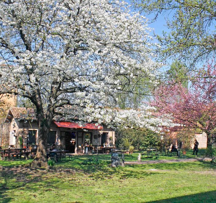 Ferrara, a palazzo Schifanoia il nuovo dehor per il bar