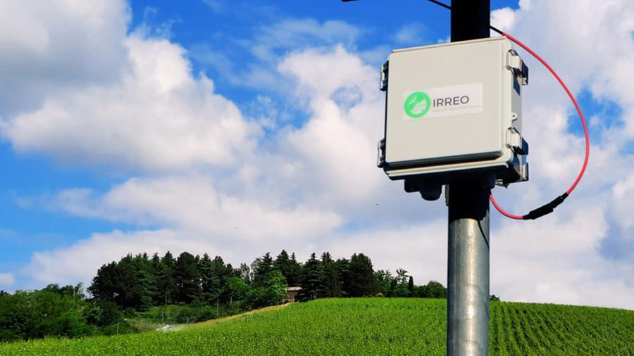 Grosseto, l’irrigazione di piante e campi ora si fa con satelliti e algoritmi