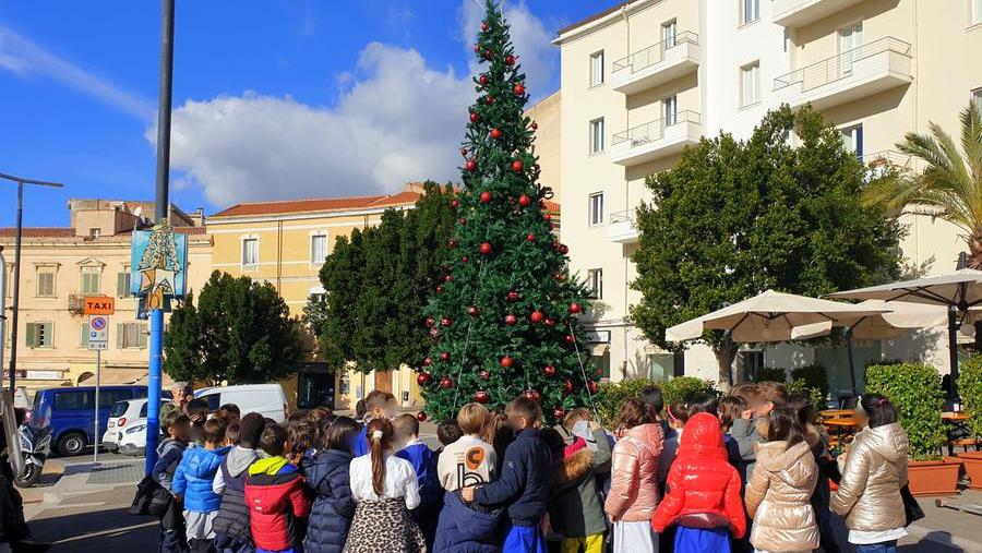 
	L&#39;albero di Natale realizzato dai bambini delle scuole&nbsp;(foto di Ivan Nuvoli)

