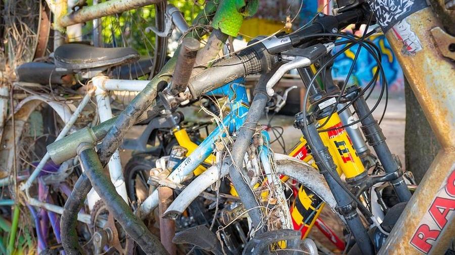 Livorno, municipale e Aamps in azione per rimuovere le bici abbandonate. Ecco quando